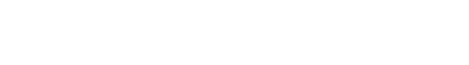 Logo White 2